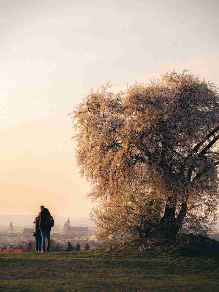 Randka w outdoorze – pomysły na randkę w plenerze